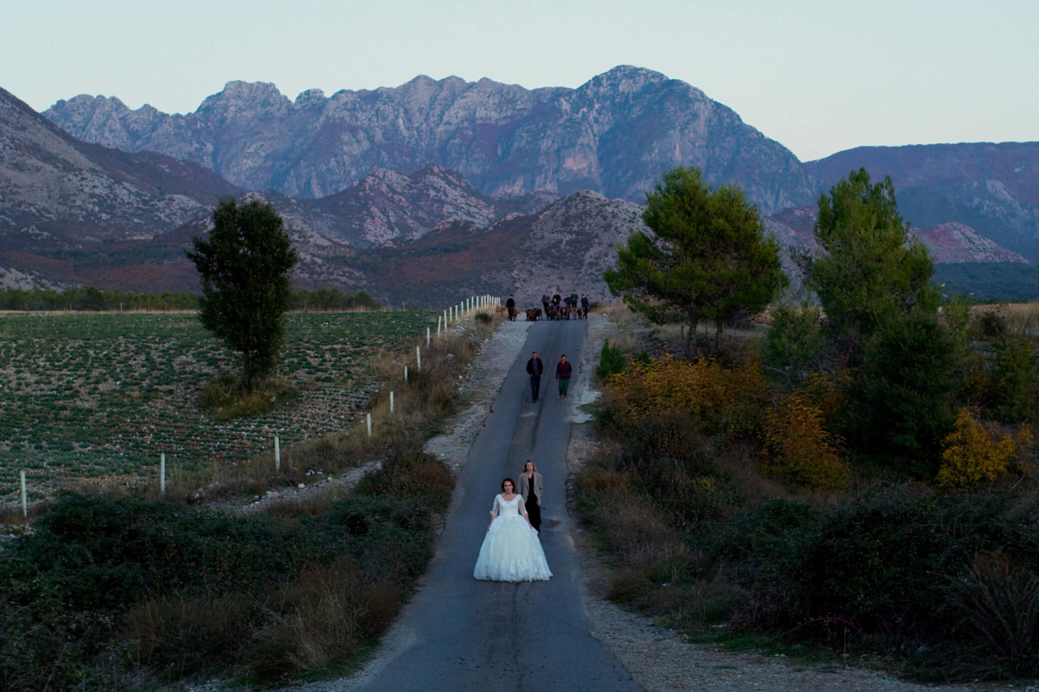 Adrian Paci at Kaufmann Repetto