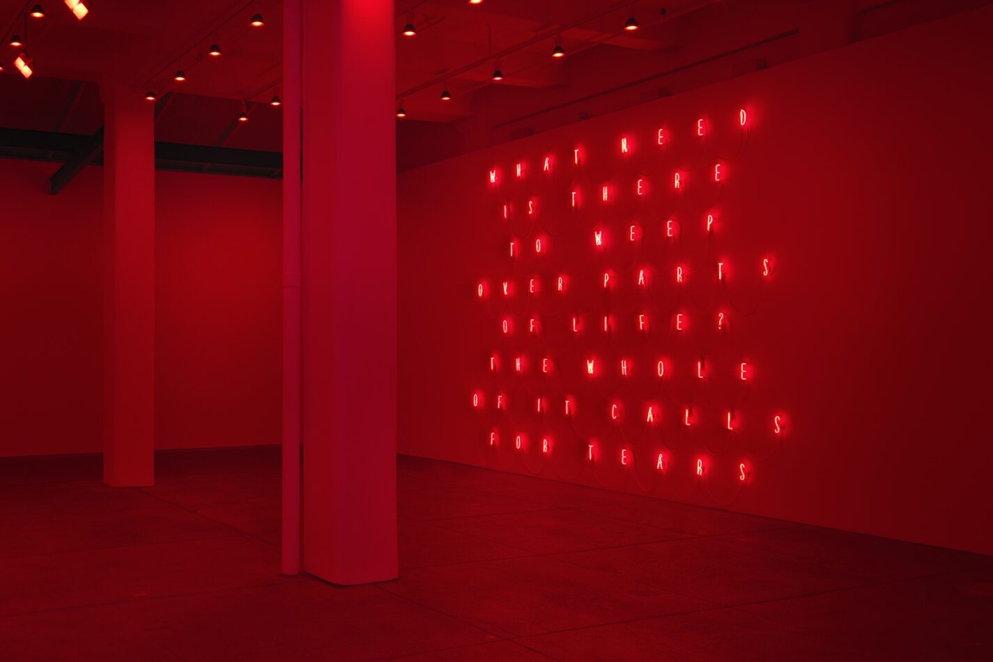 Alfredo Jaar, Galerie Lelong & Co.